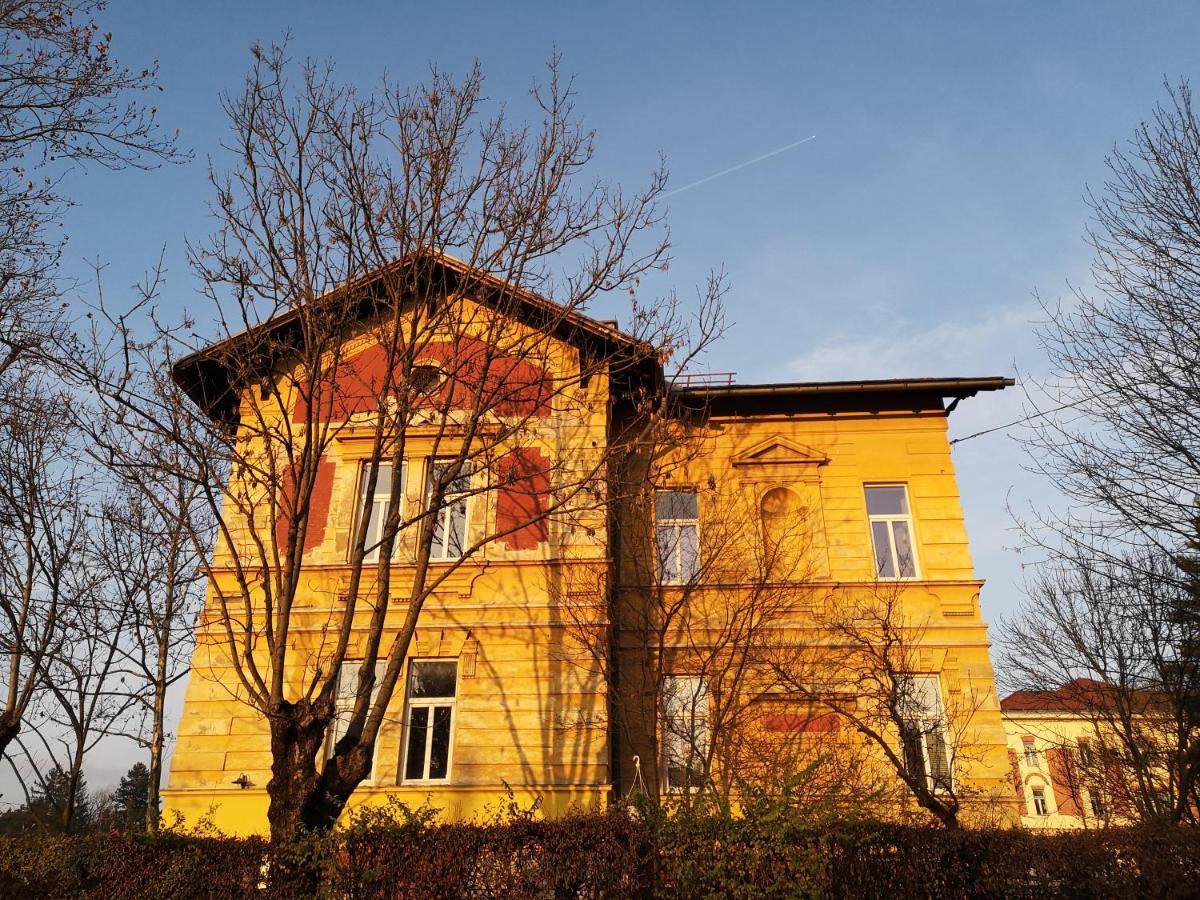 Unique Vila Veselova, Center